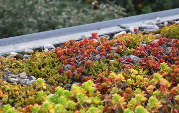 the cost of Wheatley Lane green roof installation