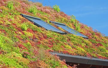 Wheatley Lane living roof systems